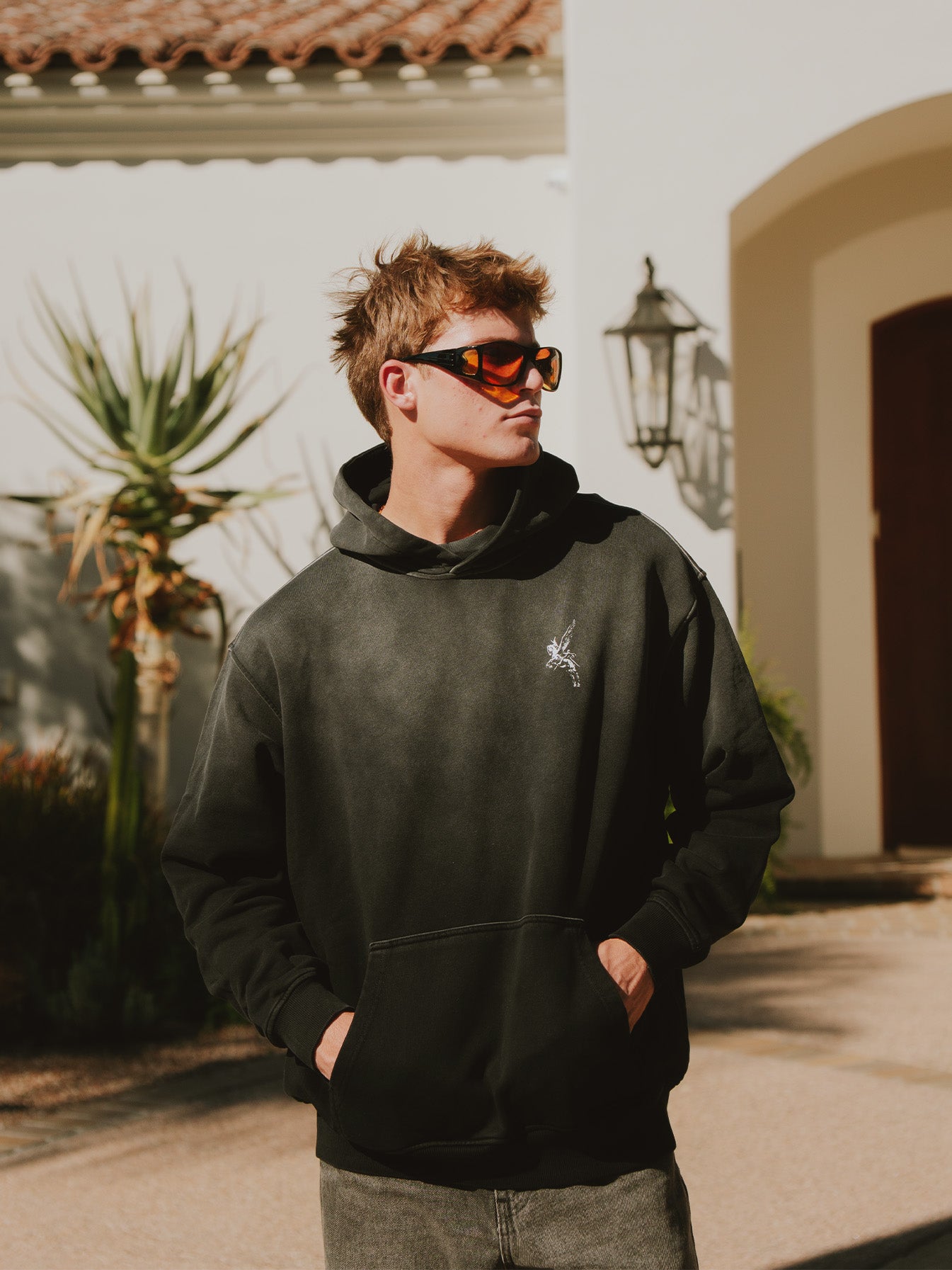 Pegasus Hoodie Black