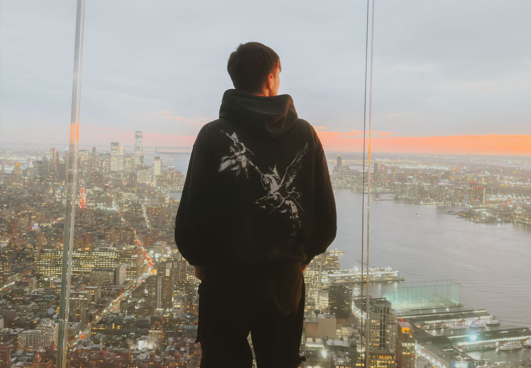 New York with Pegasus